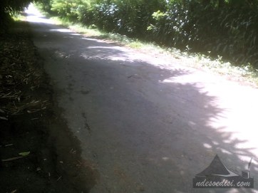 jalan-alternatif-Cibatu-Purwakarta-Wanayasa (8)